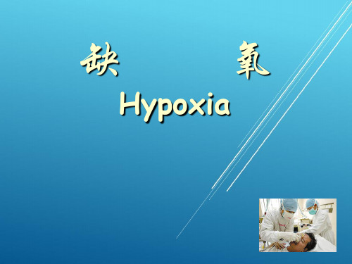 缺氧高教版——【病理生理学 精品讲义】