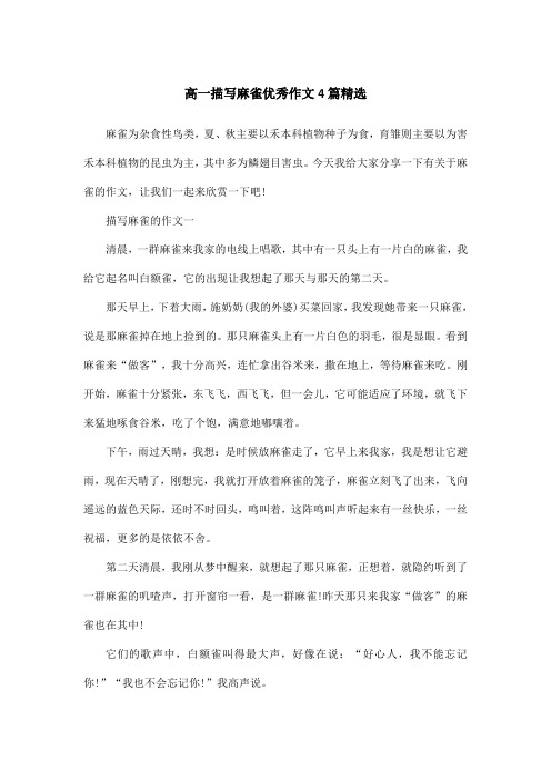 高一描写麻雀优秀作文4篇精选