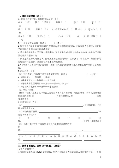 辽宁省凌海市石山初级中学九年级语文寒假作业(5)(无答案) 语文版