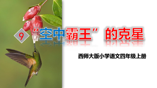 9 “空中霸王”的克星