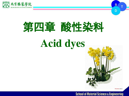 4第四章酸性染料授课版