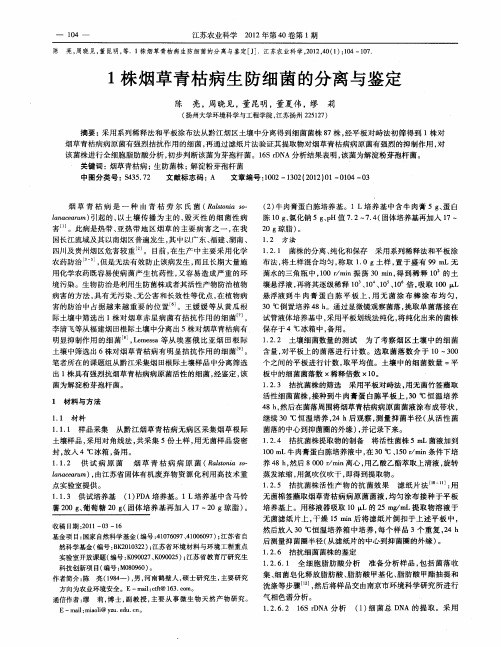 1株烟草青枯病生防细菌的分离与鉴定