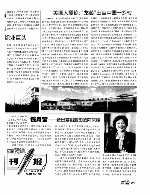 美国人震惊：“龙芯”出自中国一乡村
