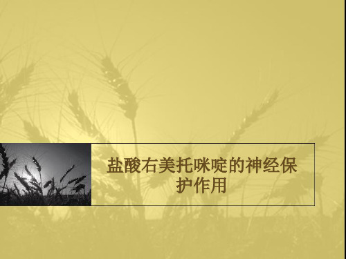盐酸右美托咪啶神经保护作用