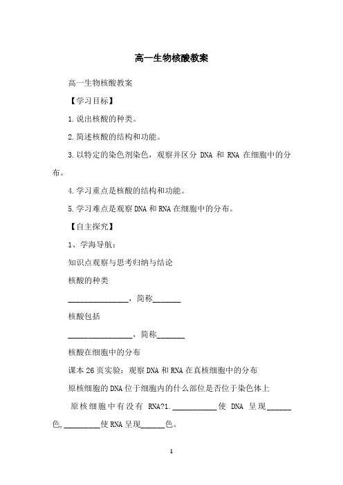 高一生物核酸教案