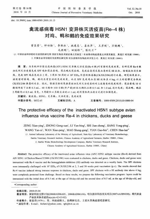 禽流感病毒H5N1变异株灭活疫苗(Re-4株)对鸡、鸭和鹅的免疫效果研究