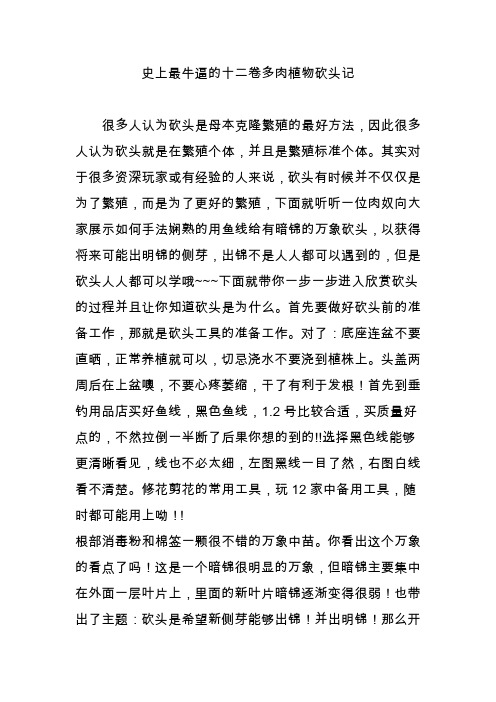 史上最牛逼的十二卷多肉植物砍头记