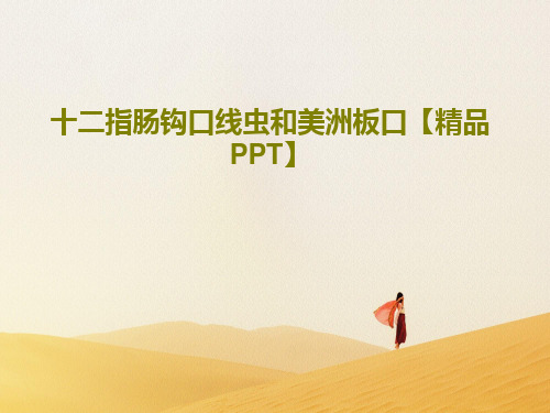 十二指肠钩口线虫和美洲板口【精品PPT】28页PPT