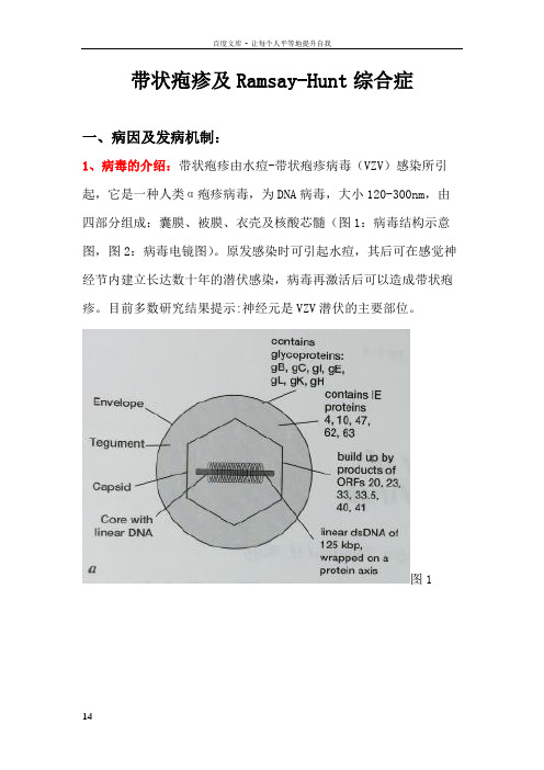 RamsayHuntsyndrome整理资料