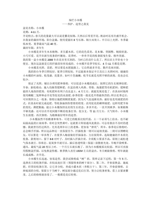 灿烂的小木槿