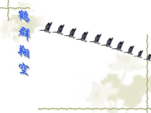 语文版语文七下4鹤群课件9