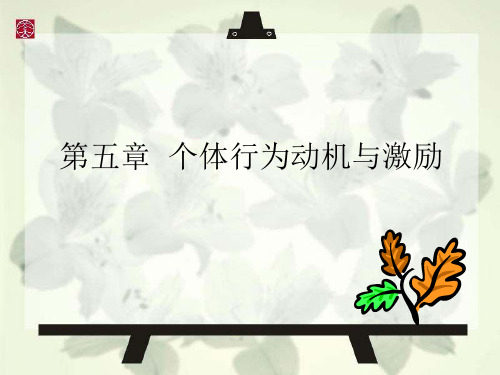 个体行为动机与激励理论.pptx