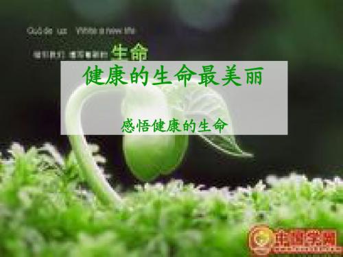 健康的生命最美丽(一).ppt -高晓芬