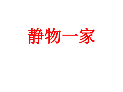 湘美版美术四年级下册课件-8. 静物一家16