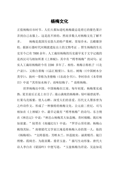 杨梅文化