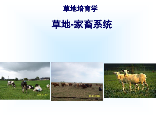 草地培育学-7-8-9-放牧系统.ppt