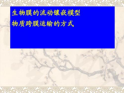 高中生物必修一生物膜的流动镶嵌模型及物质跨膜运输的方式