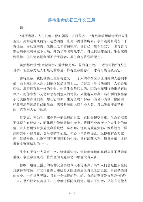 善待生命的初三作文三篇