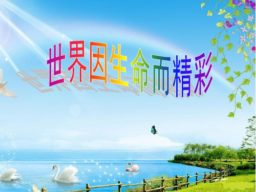 世界因生命而精彩ppt优秀课件30(4份) 鲁教版PPT课件