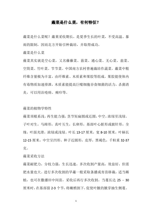 蕹菜是什么菜,有何特征？