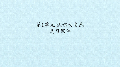 粤教粤科版小学科学一年级上册科学第1单元认识大自然复习课件-粤教版(共22张PPT)