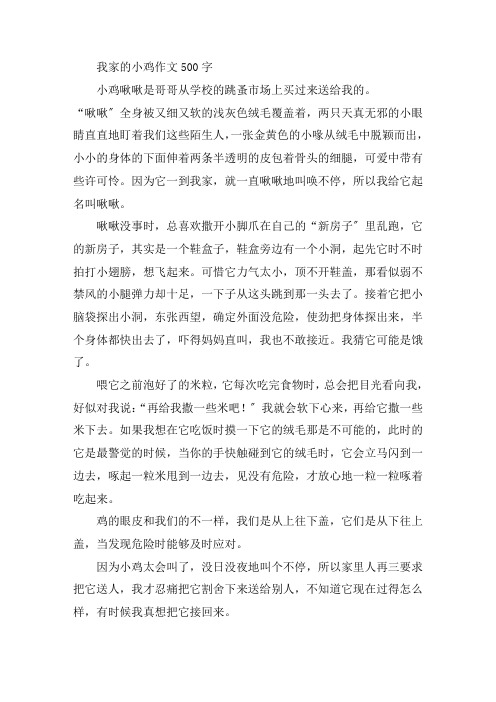 中小学我家的小鸡作文500字
