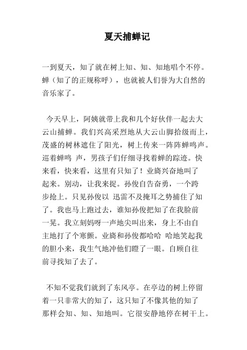 夏天捕蝉记