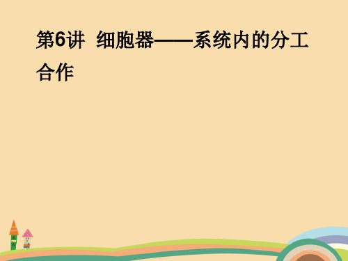 高三生物细胞器复习PPT教学课件