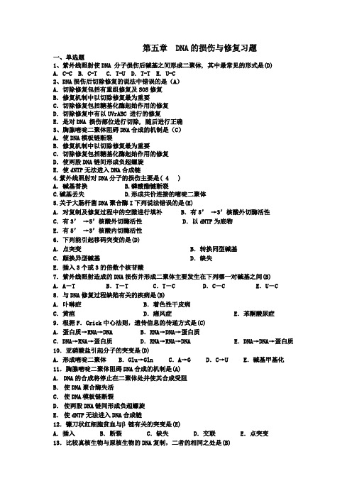 DNA的损伤与修复习题