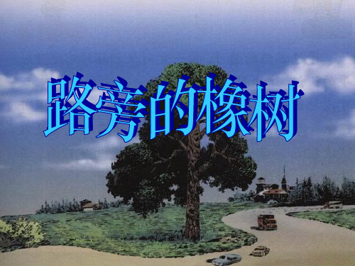 三年级下语文课件     10.第二单元第8课《路旁的橡树》ppt