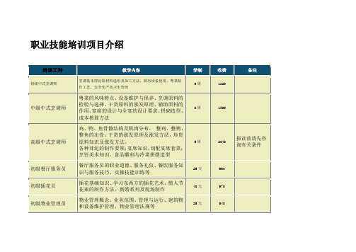 职业技能培训项目介绍资料