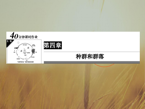 2018高中生物必修3课件：4-3 第4章 种群和群落