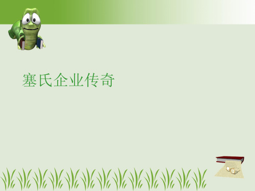 塞氏企业