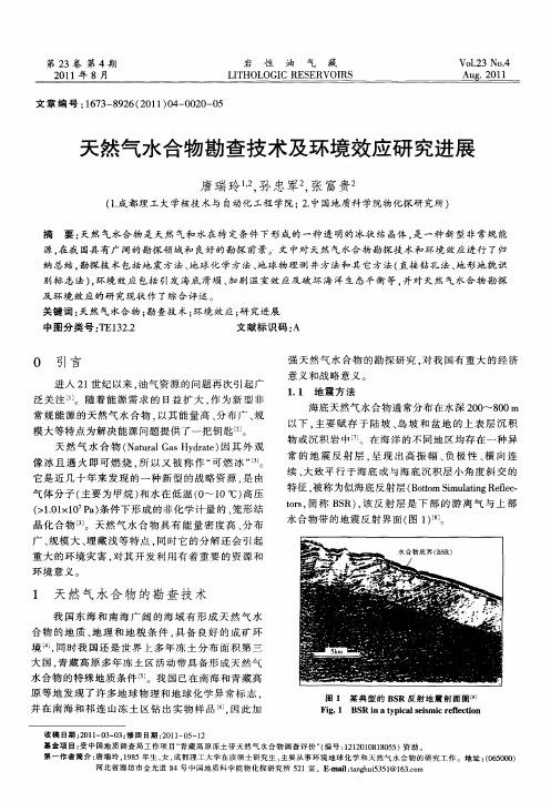 天然气水合物勘查技术及环境效应研究进展