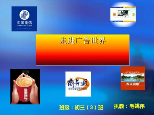 广告、启事、合同之走进广告世界PPT 人教版 (共15张PPT)