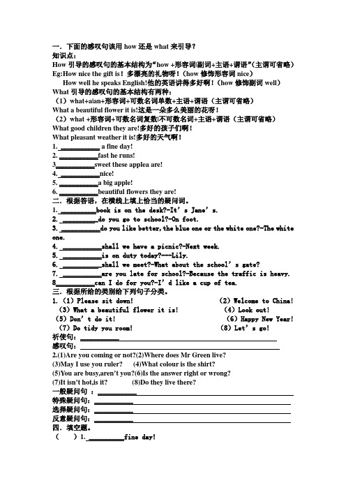 小学英语句型综合训练