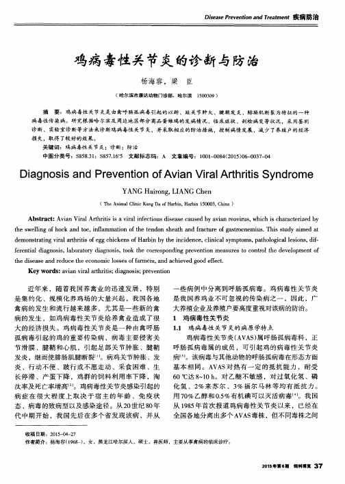 鸡病毒性关节炎的诊断与防治