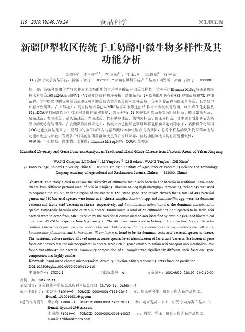 新疆伊犁牧区传统手工奶酪中微生物多样性及其功能分析