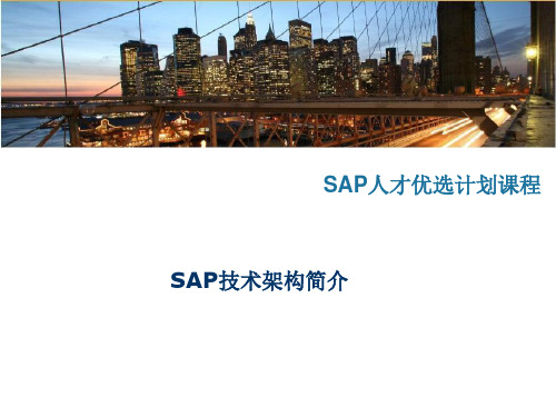 SAP基础架构简介完整版