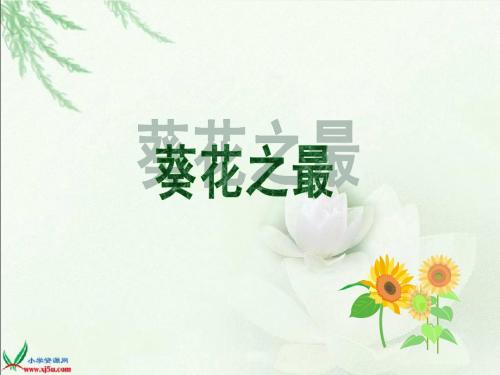 7课__葵花之最