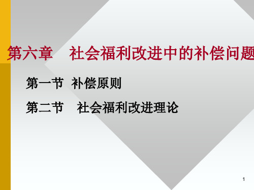 第六章社会福利改进中的补偿问题PPT教学课件