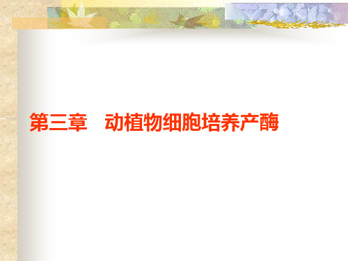 动植物细胞培养产酶