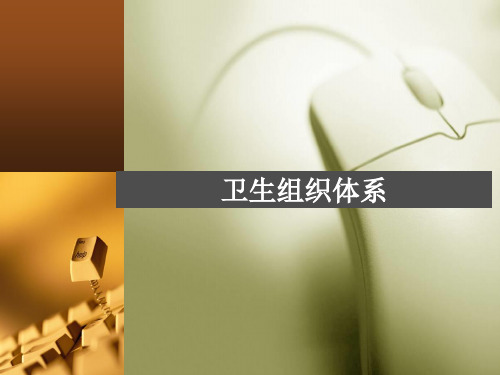 卫生组织体系