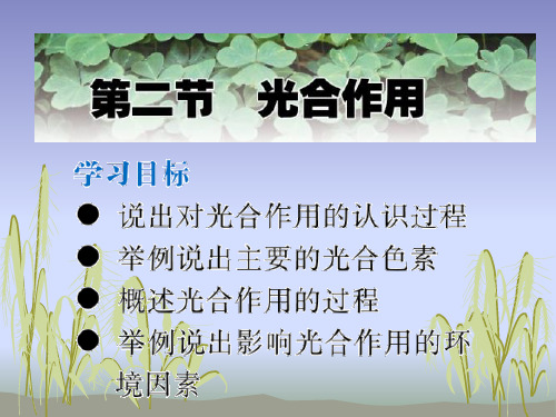 江苏地区生物学科必修1第二节光合作用资料名师公开课省级获奖课件 上学期 苏教版