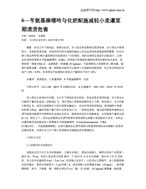 6—苄氨基腺嘌呤与化肥配施减轻小麦灌浆期渍涝危害