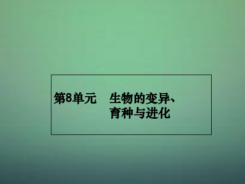 2016届高三生物一轮复习 8.1基因突变和基因重组课件