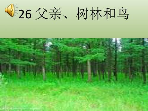父亲、树林和鸟