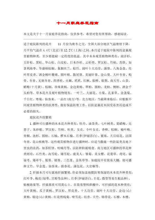 十一月家庭养花指南