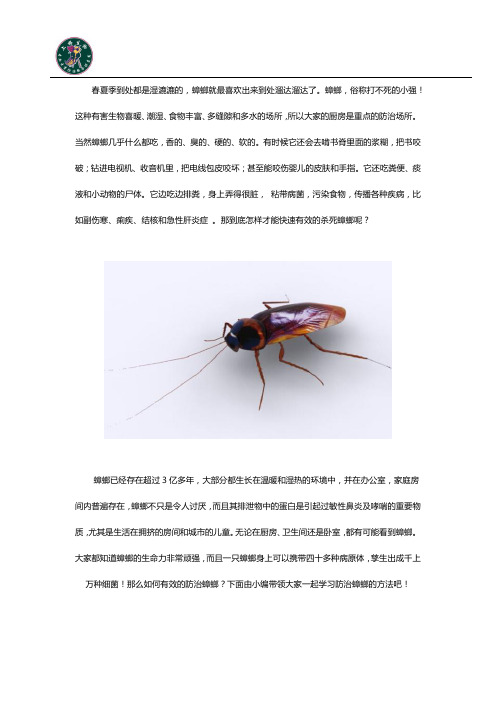 如何快速有效的灭除蟑螂