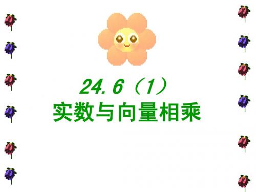 24.6(1)实数与向量相乘wjy